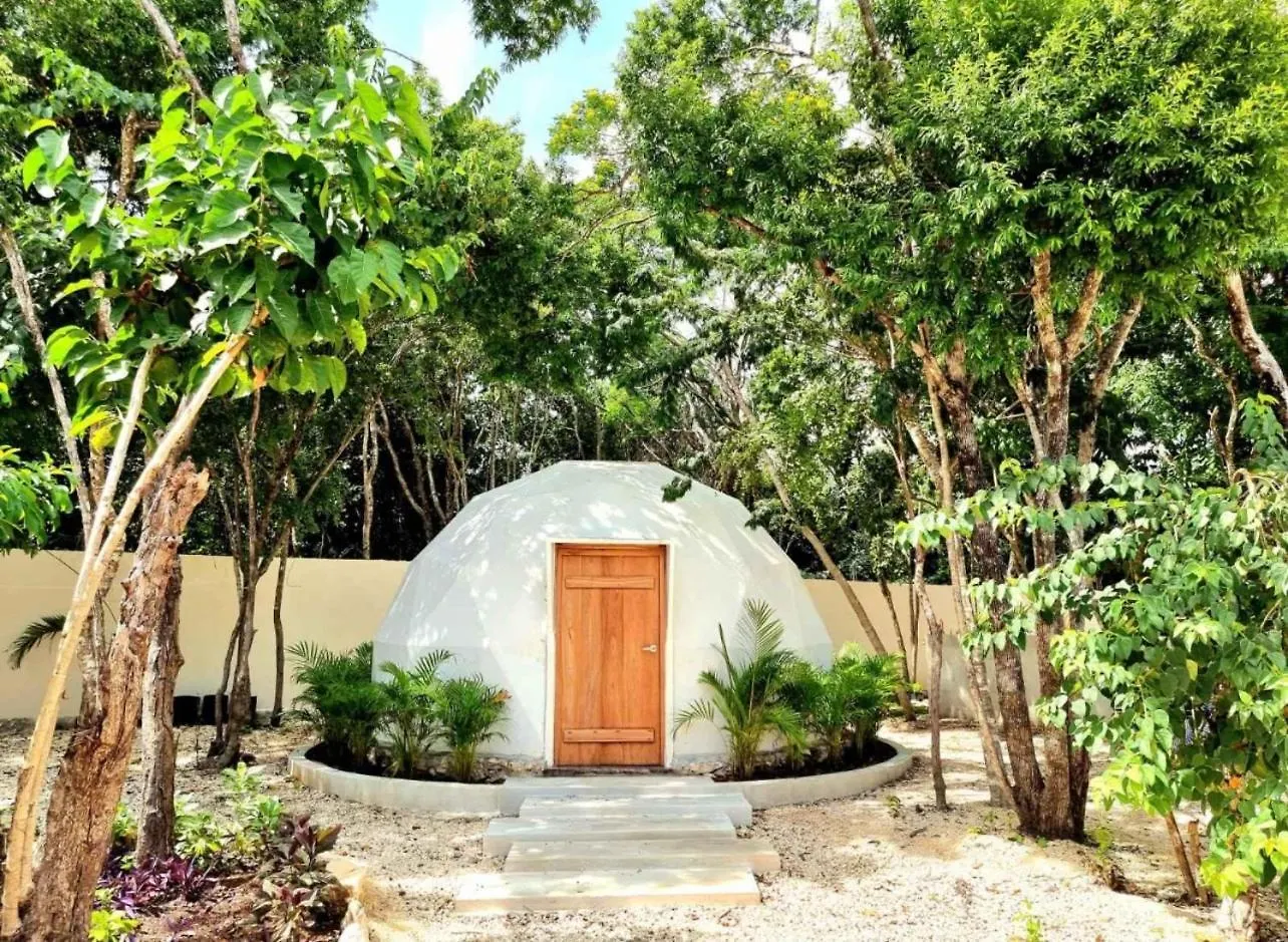 Aylove House Xetna